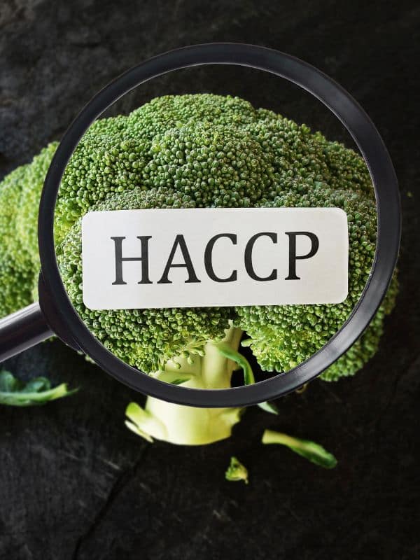 Mise aux normes HACCP